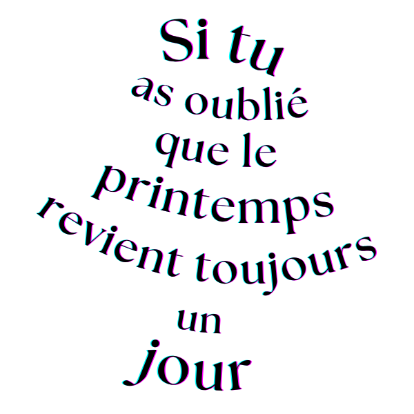 LE SOLEIL ET SES FLEURS – Image 2