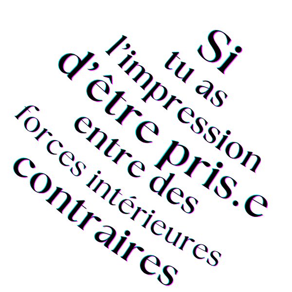 JUNG - LA PHILOSOPHIE DES CONTRAIRES – Image 2