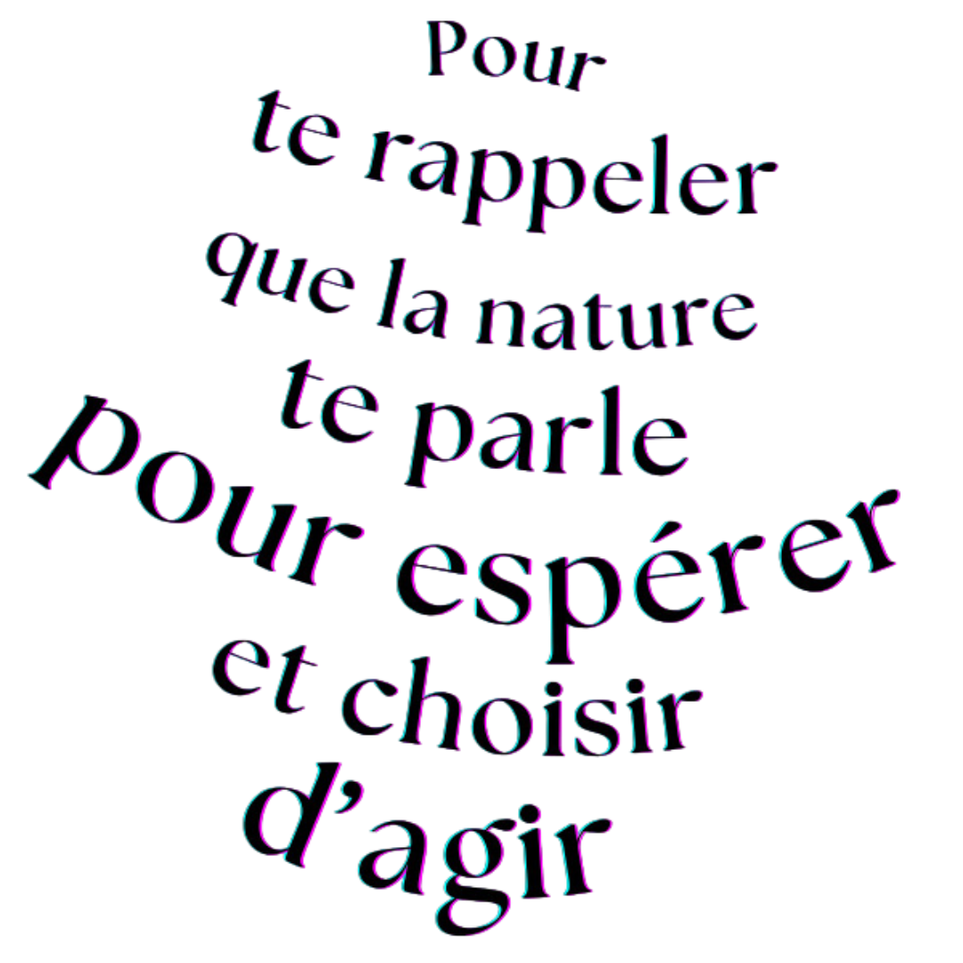 LE PARLEMENT DE L'EAU – Image 2