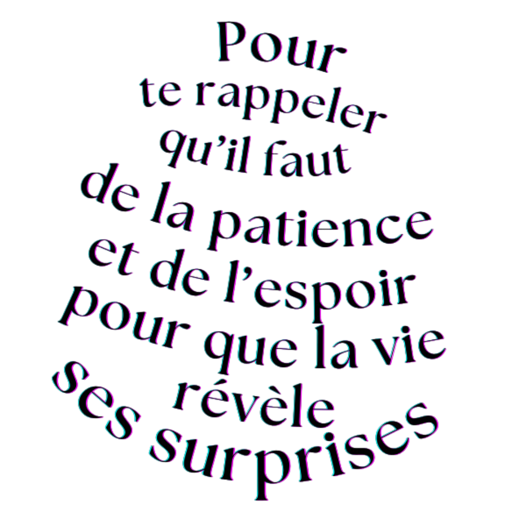 LA PANTHERE DES NEIGES – Image 2