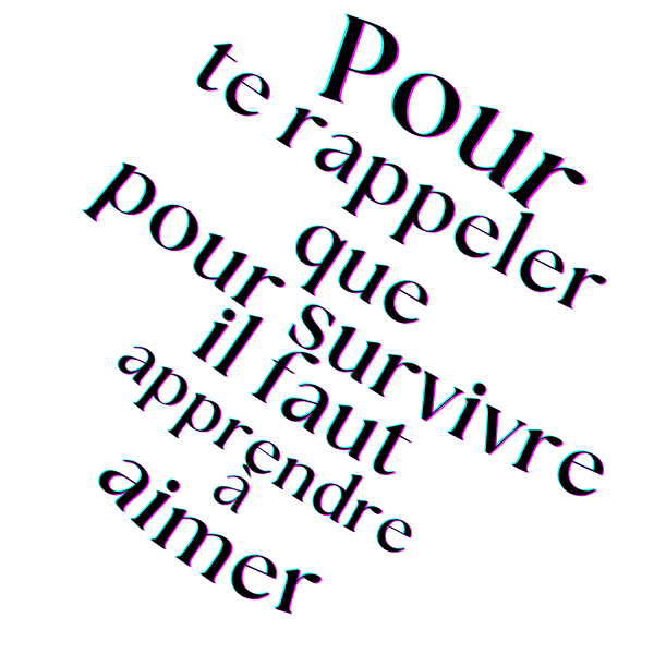 ROBOT SAUVAGE – Image 2