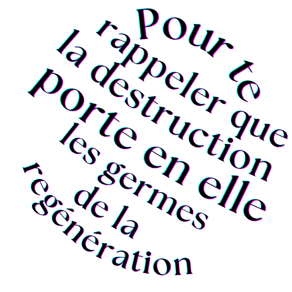 LE JOUR DES CAMELEONS – Image 2