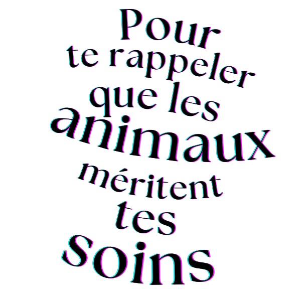 MON PETIT CHEVAL MAHABAT – Image 2