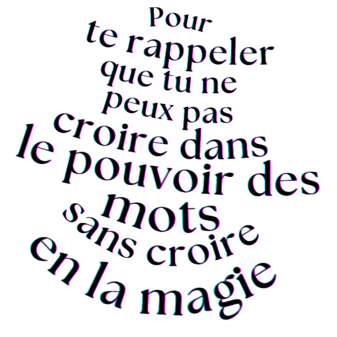 LA LIBRAIRIE DISPARUE – Image 2